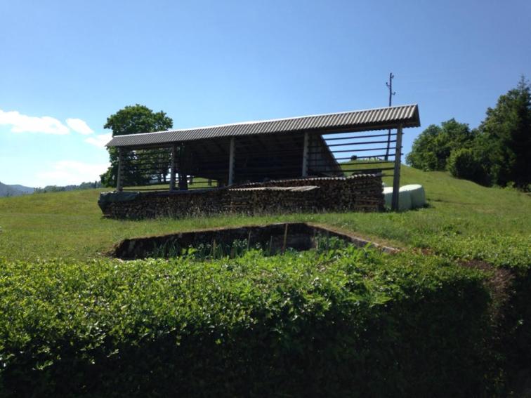 The Slovenian hay rack-- the Slovenian equivalent of the California live oak. I wonder if they also get annoyed that they can't take them down.