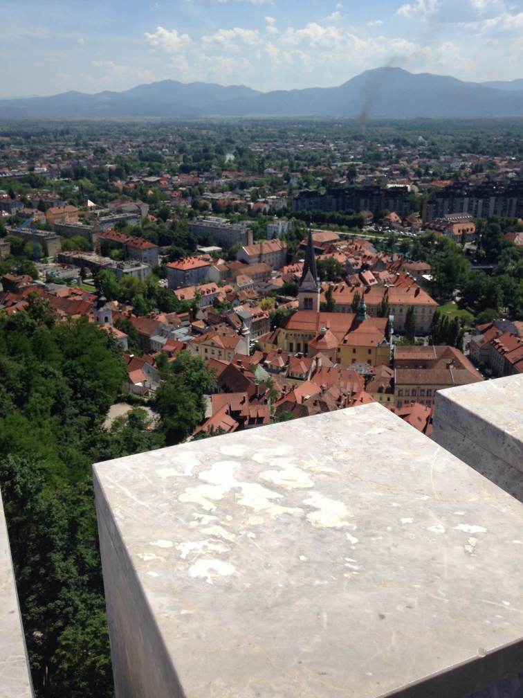 The view from the castle tower.
